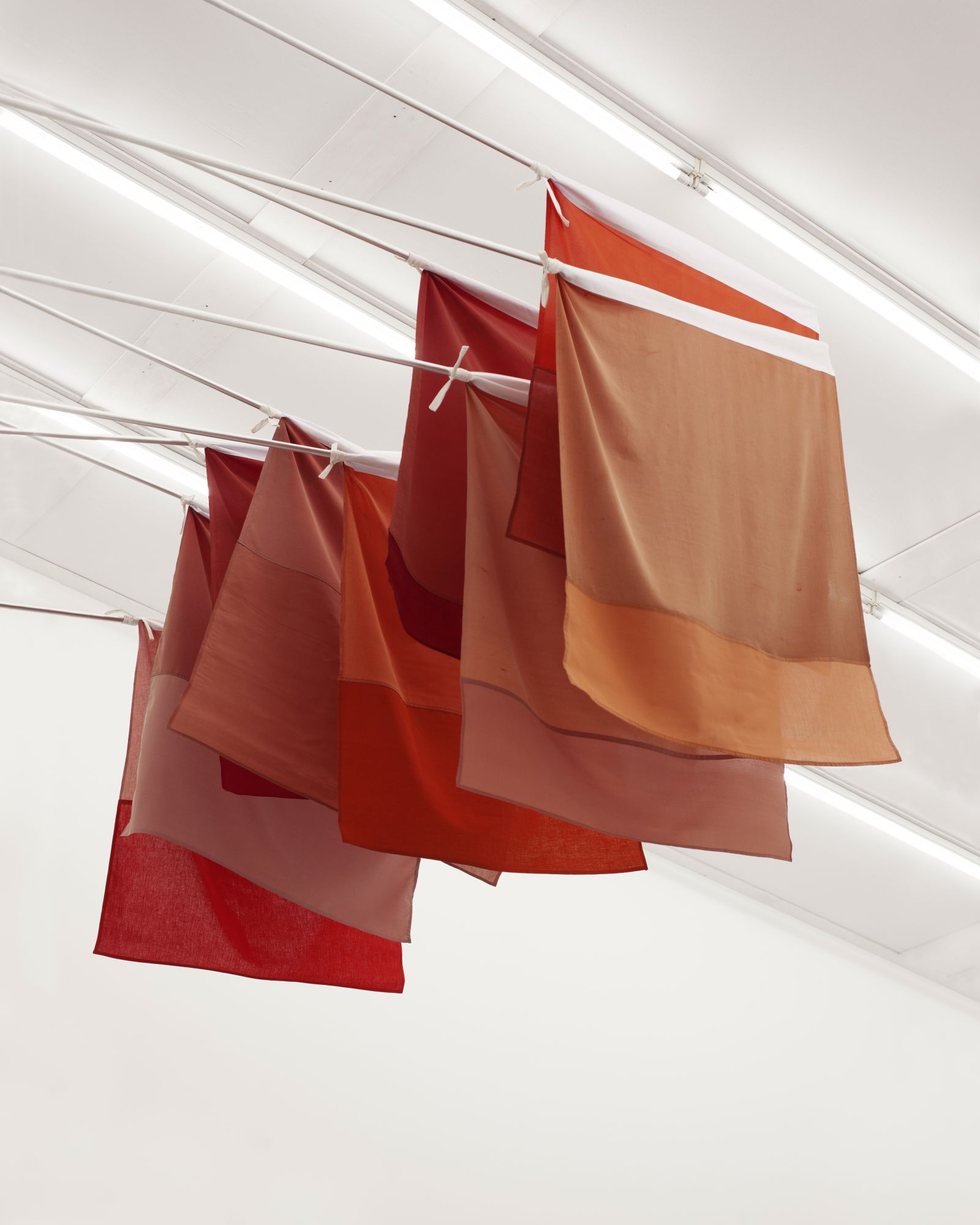Flying Colours (Red)